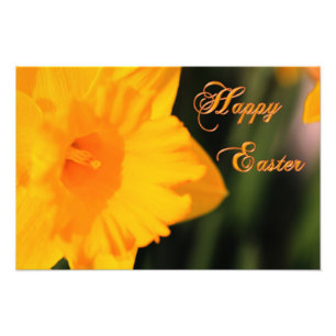 Foto Felz pascoa Primavera Amarelo Flor