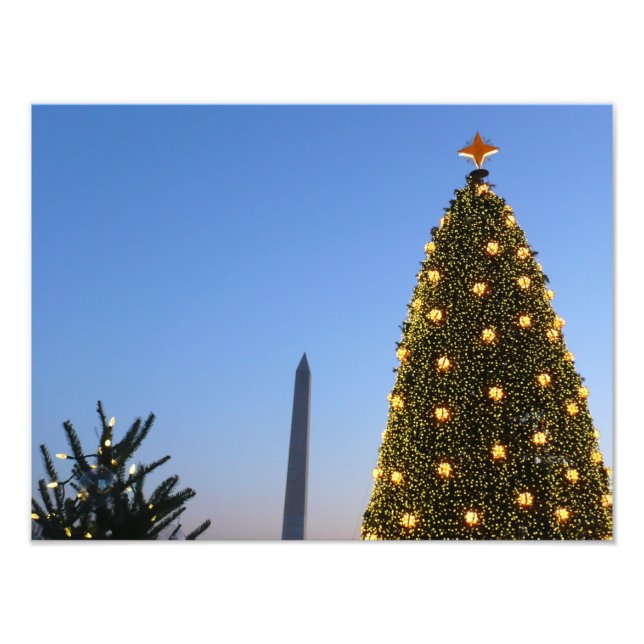 Foto Feriado das Árvores de Natal II em DC (Frente)