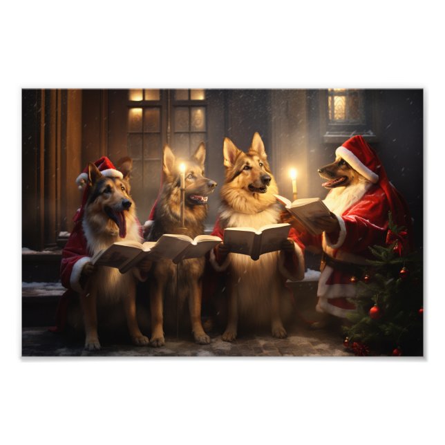 Foto Férias de Natal dos german shepherd (Frente)