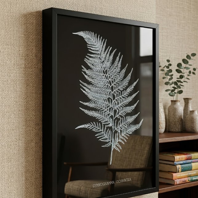 Foto Fern - Gymnogramma Ochracea - Efeito de raios X -  (Ochre Fern Frond, Gymnogramma Ochracea. Photo Print)