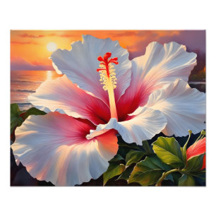 Foto Fiery Hibiscus Bloom no Sunset