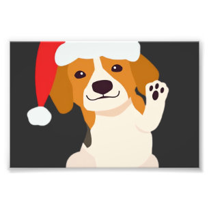 Foto Filhote de Beagle com chapéu do Papai Noel para am