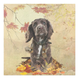 Foto Filhote de cocker spaniel chocolate