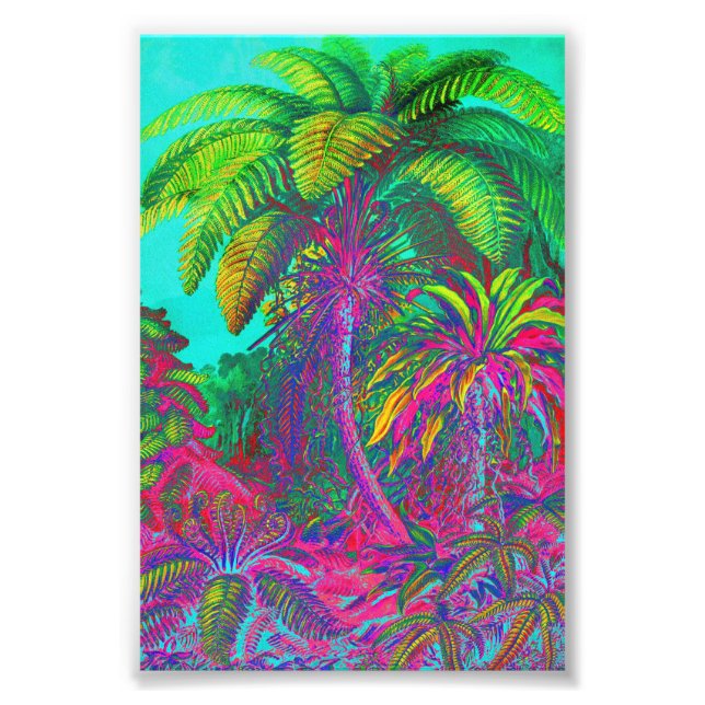 Foto Filicinae Árvores e Ferns (Frente)