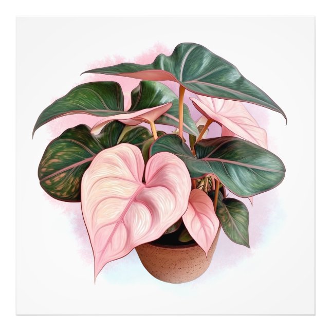 Foto Filodeno princesa rosa no Pote (Frente)