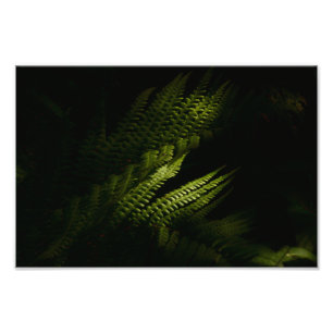 Foto Fios solares de madeira (6160), poster