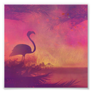 Foto flamingo