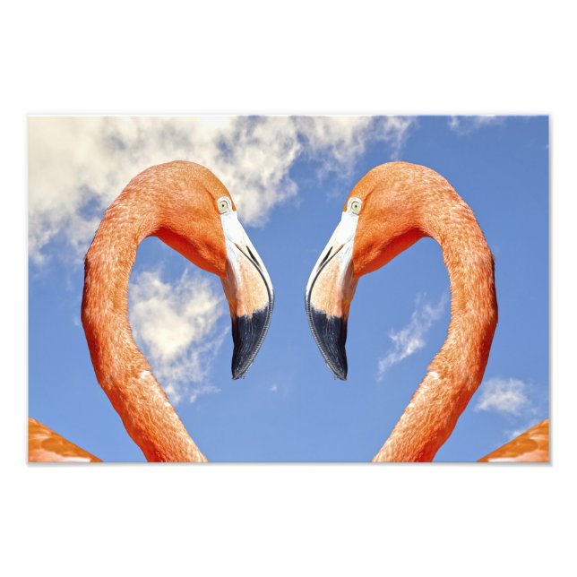 Foto flamingo caribenho coração de amor (Frente)