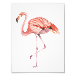 Foto Flamingo cor-de-rosa