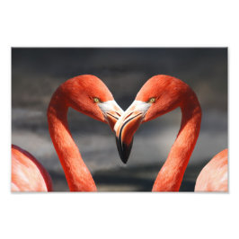 Foto Flamingo do Dia dos Namorados