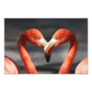 Foto Flamingo do Dia dos Namorados