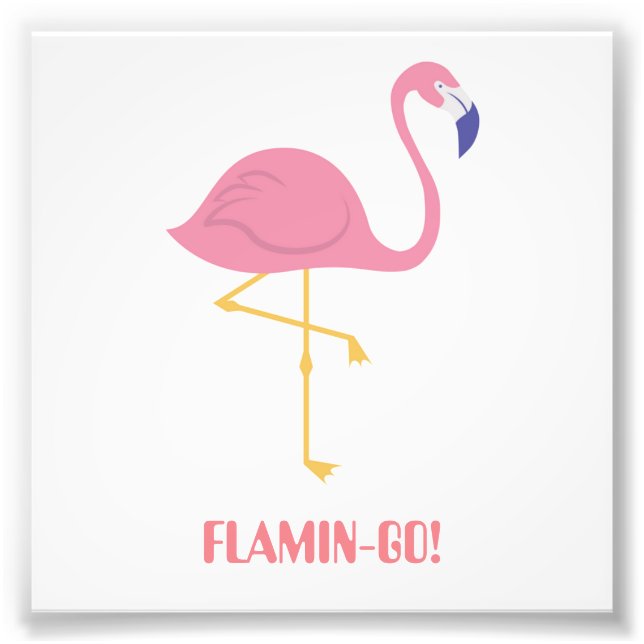 Foto Flamingo (Flamin-Go!) (Frente)