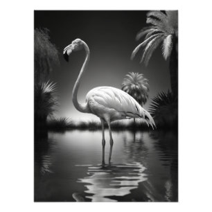 Foto Flamingo numa Piscina