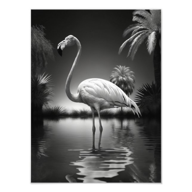 Foto Flamingo numa Piscina (Frente)