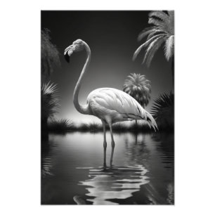 Foto Flamingo numa Piscina