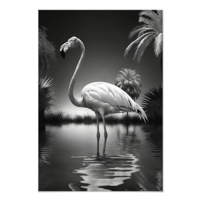 Foto Flamingo numa Piscina (Frente)
