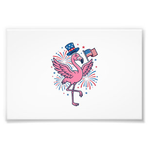 Foto Flamingo Patriótico Fogo de Artifício Design Vetor