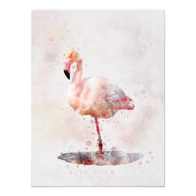 Foto Flamingo Rosa - Watercolor - 01 (Frente)