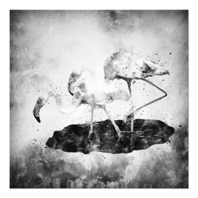Foto Flamingos Black and White Watercolor (Frente)