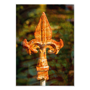 Foto Fleur De Lis em Feira