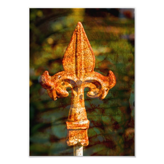 Foto Fleur De Lis enferrujada (Frente)