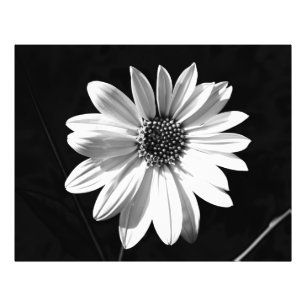 Foto flor