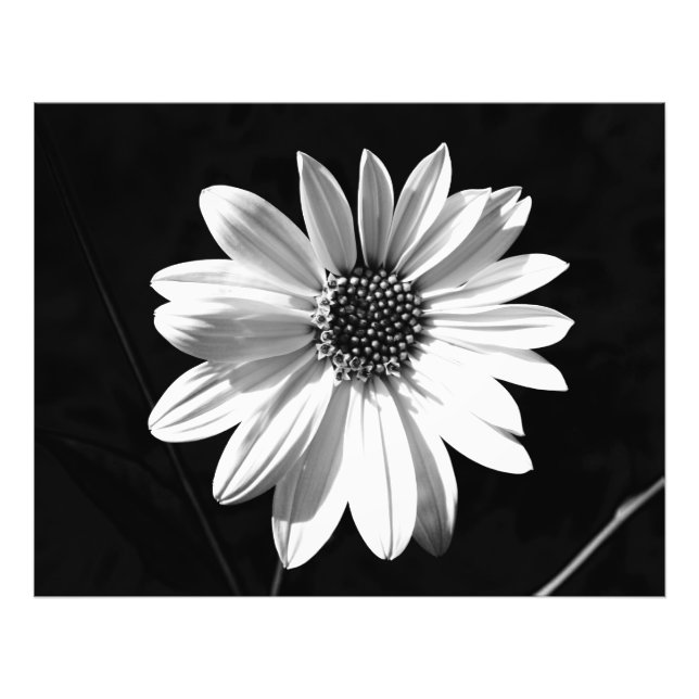Foto flor (Frente)