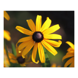 Foto flor amarela