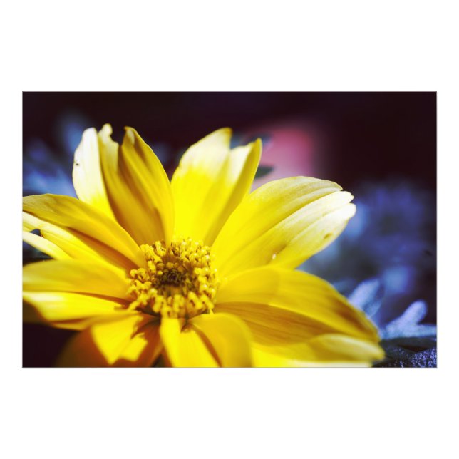 Foto Flor Amarela (Frente)