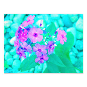 Foto Flor bonito do Jardim Rosa no Aquamarine