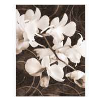 Flor branco da orquídea Sépia Preta Fundo