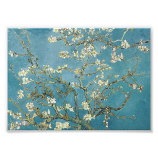 Foto Flor de amêndoa de Vincent van Gogh (1890)