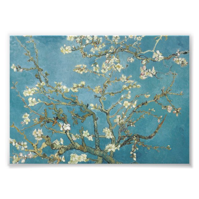 Foto Flor de amêndoa de Vincent van Gogh (1890) (Frente)