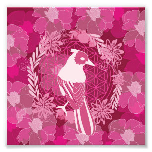 Foto Flor de aves da vida