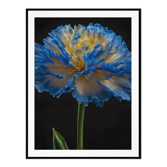 Foto Flor De Cárnação Azul E Amarelo, (Frente)