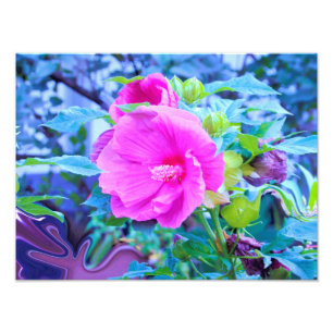 Foto Flor de Hibisco Rosa Elegante com Folhagem Aquátic