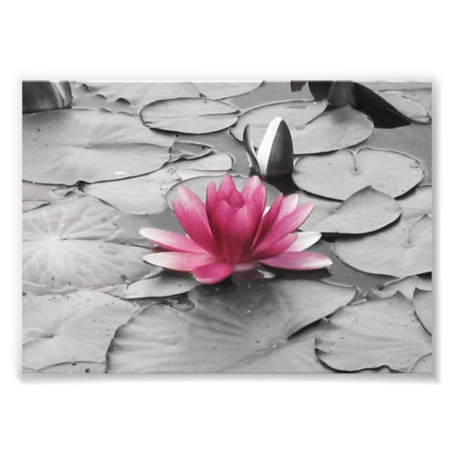 Foto Flor de lírio rosa (Frente)
