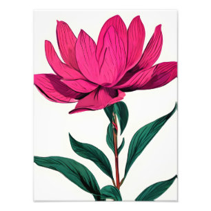 Foto Flor de Lotus Rosa Elegante