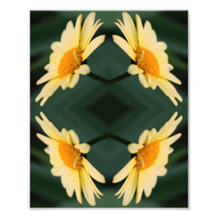 Foto Flor de margarida amarela Fechar o espelho Abstrat