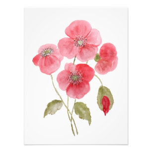 Foto Flor de papoula aquarela
