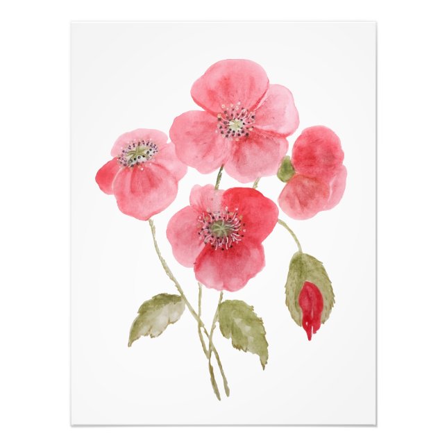 Foto Flor de papoula aquarela (Frente)