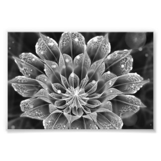 Foto Flor Fractal Dahlia BnW via Microscópio Eletrônico