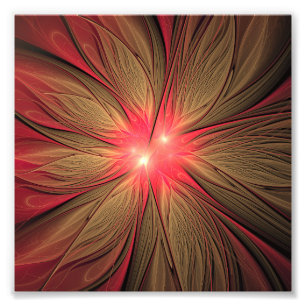 Foto Flor fractal de fanfarrão vermelho