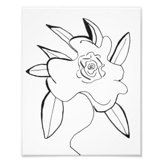 Foto Flor minimalista