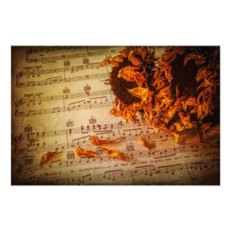 Foto Flor para Criança