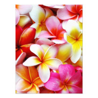 Flor Plumeria Frangipani Hawaii Personalizado