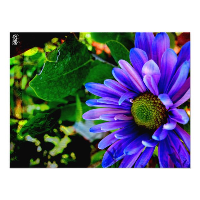 Foto Flor Puro Brilhante (Frente)