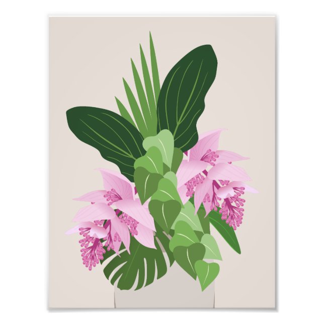 Foto Flor rosa-rosa-medinilha tropical em bege (Frente)