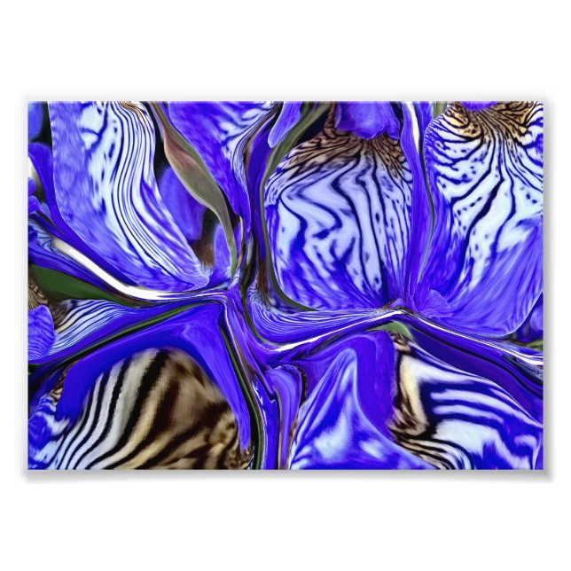 Foto Flor Roxo-Íris (Frente)