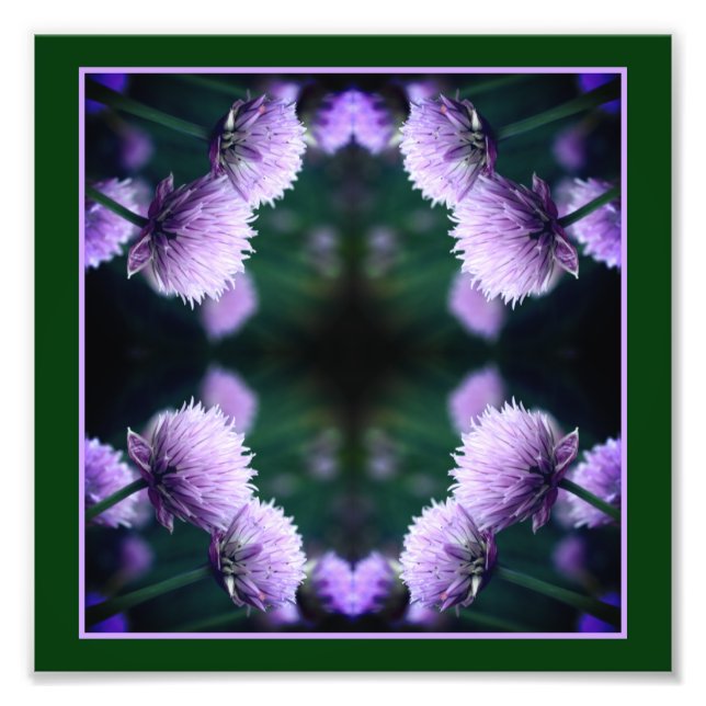 Foto Flor Roxo Scallion Onion Abstrato 8x8 (Frente)